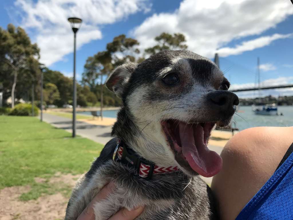 Test image from the iPhone 7's camera