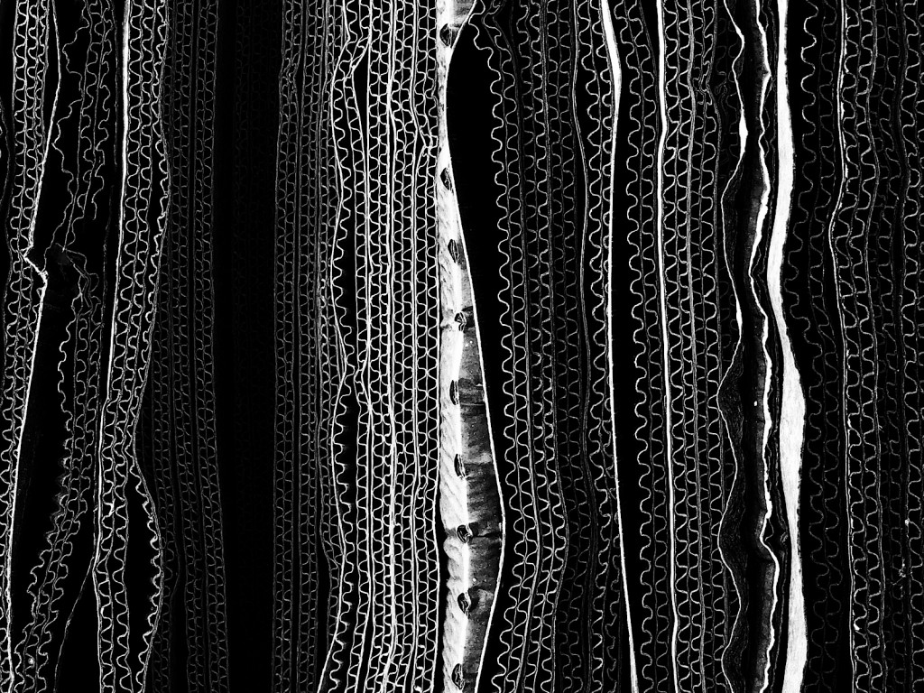 Glenn Homann's first place winner for Abstract photography