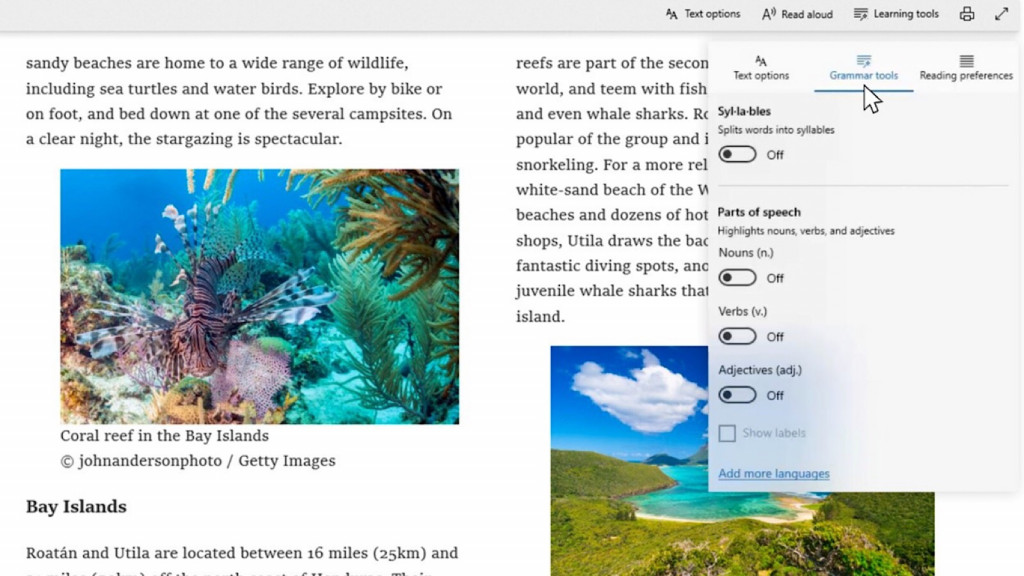 Grammar and reading tools in the Windows 10 October update