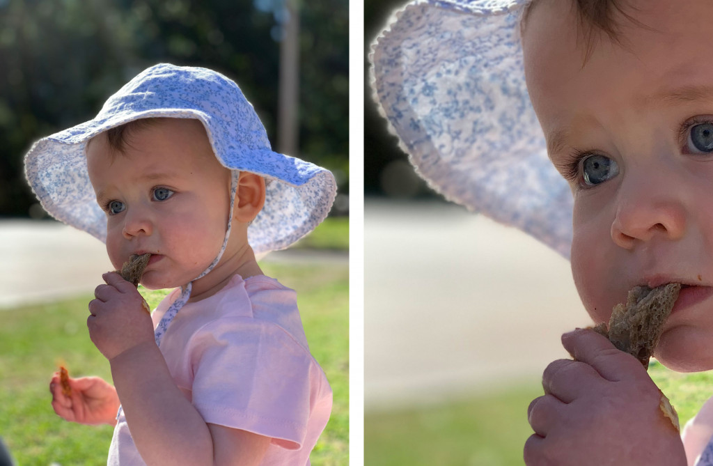 Test image from the iPhone XS Max's Portrait mode (left) with 100 percent crop (right)
