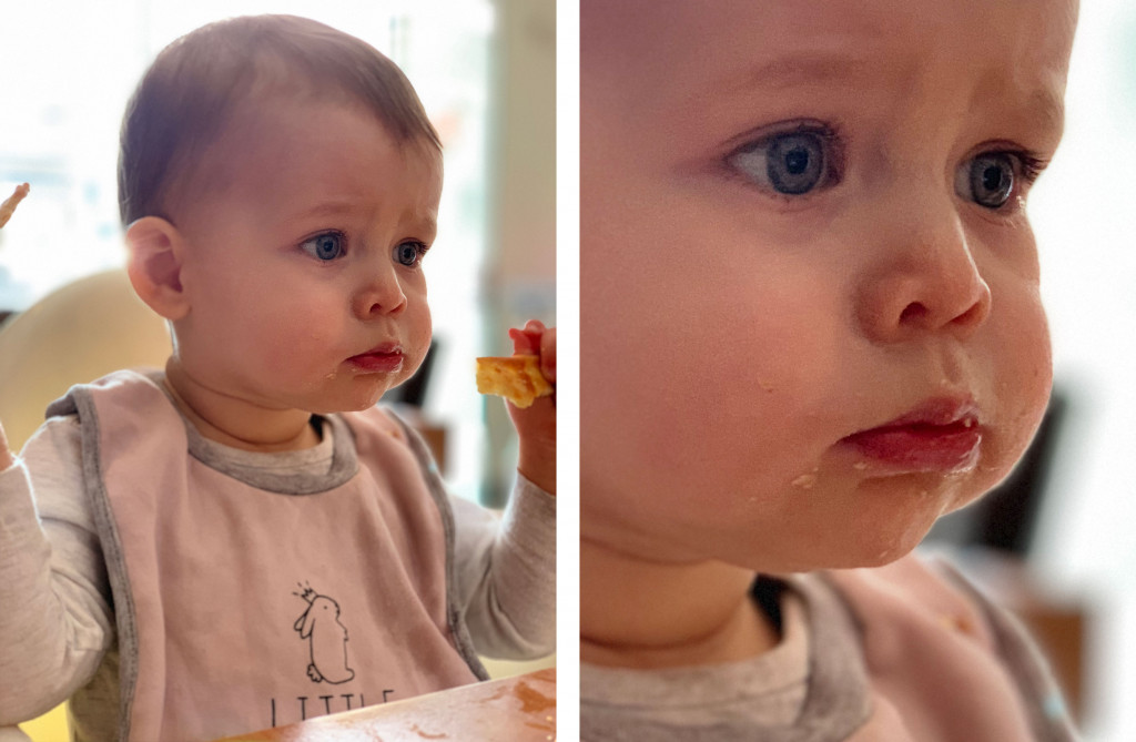 Test image from the iPhone XS Max's Portrait mode (left) with 100 percent crop (right)