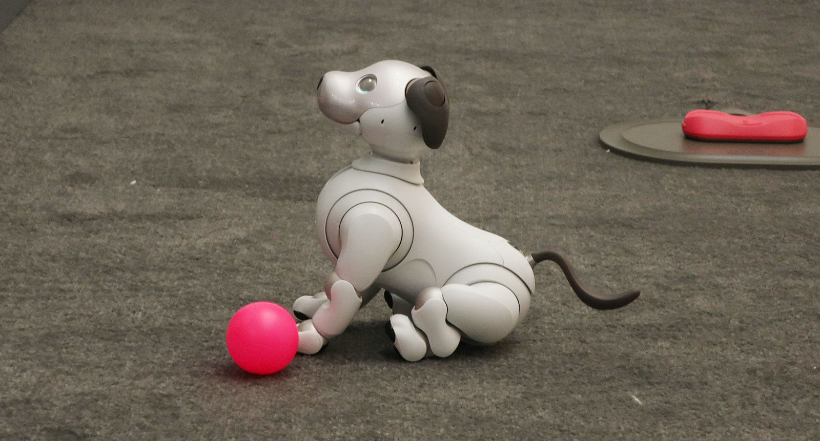 Sony's robotic dog Aibo is all kinds of awwsome Pickr