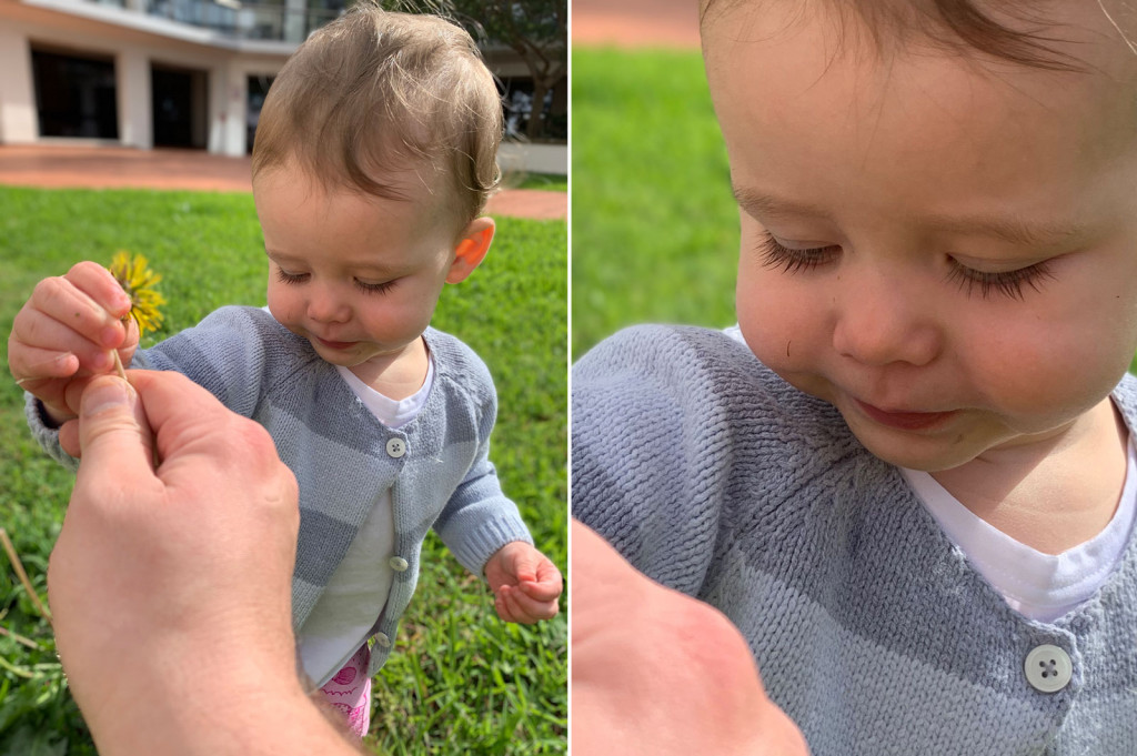 Apple iPhone XR portrait mode