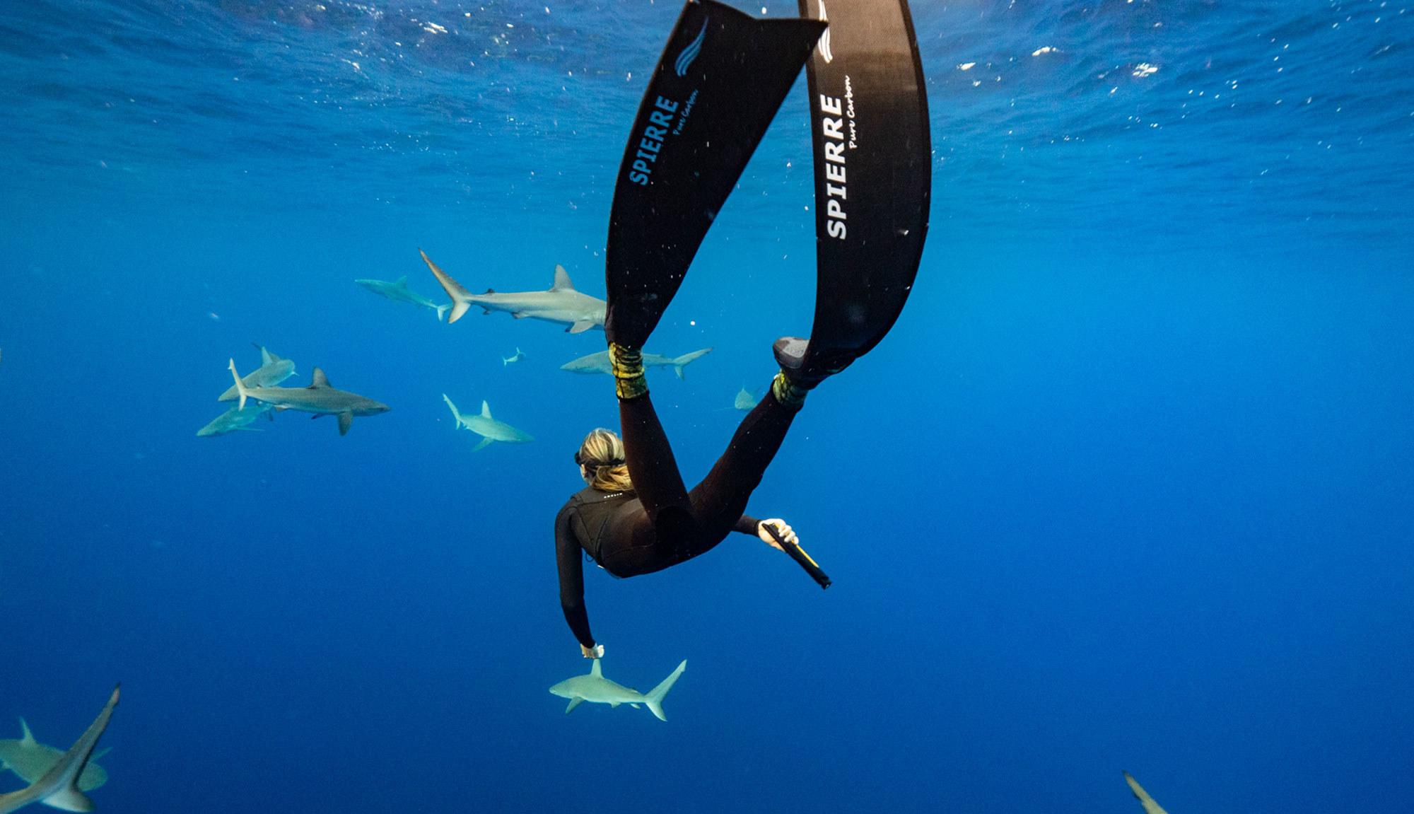 Australians develop personal shark deterrent to swim with Pickr