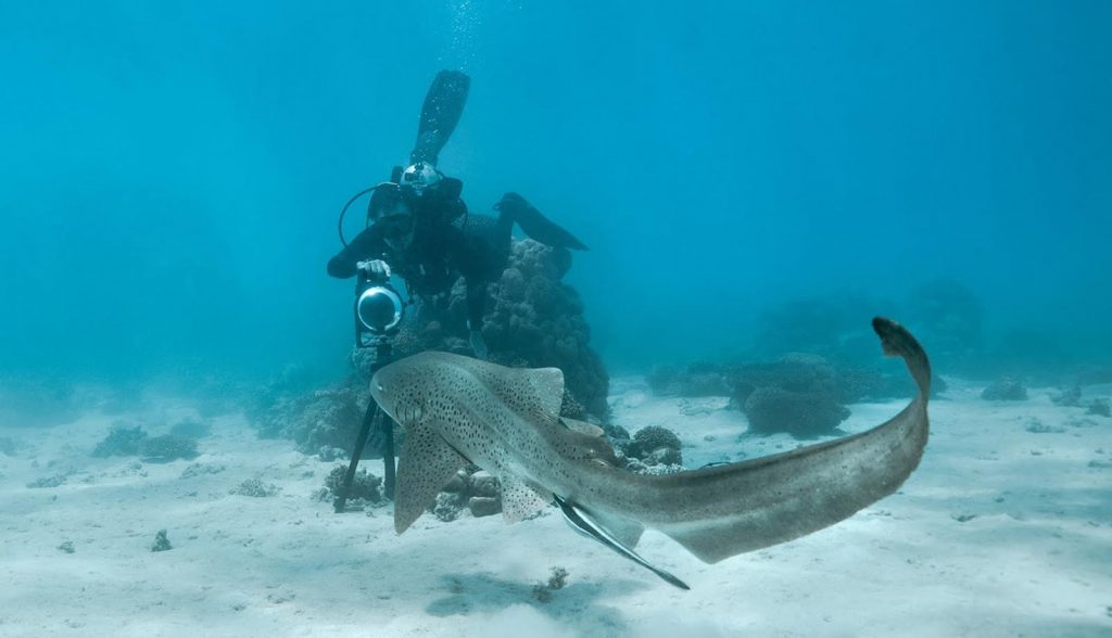Street View Ningaloo Coast