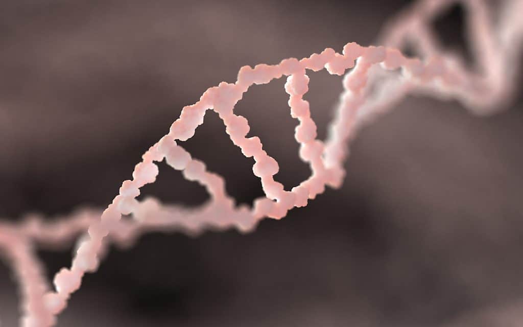 DNA structure double helix