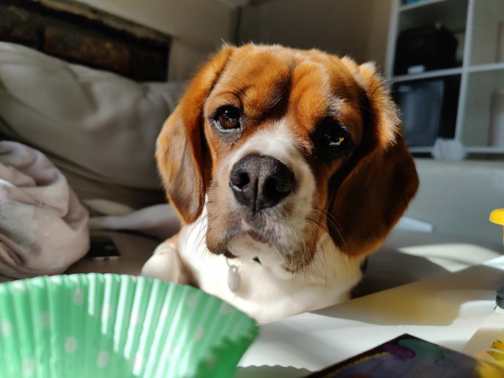 Oppo Find X2 Pro camera test