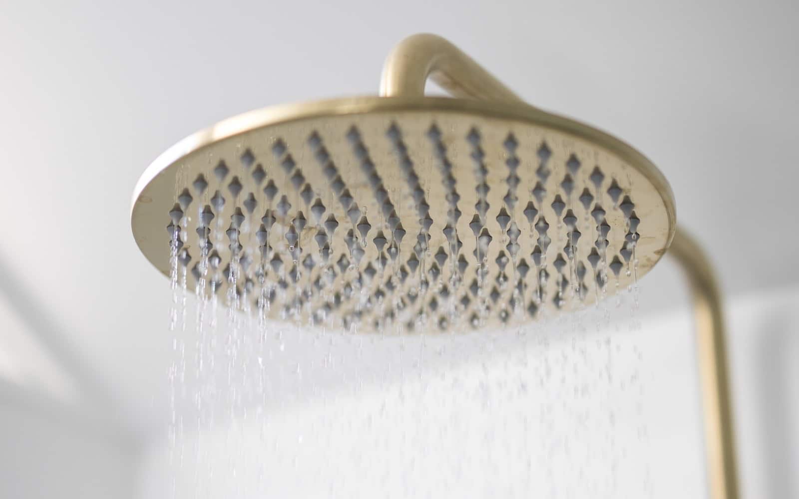 Rather than show you us in the shower, here's a picture of a shower head.