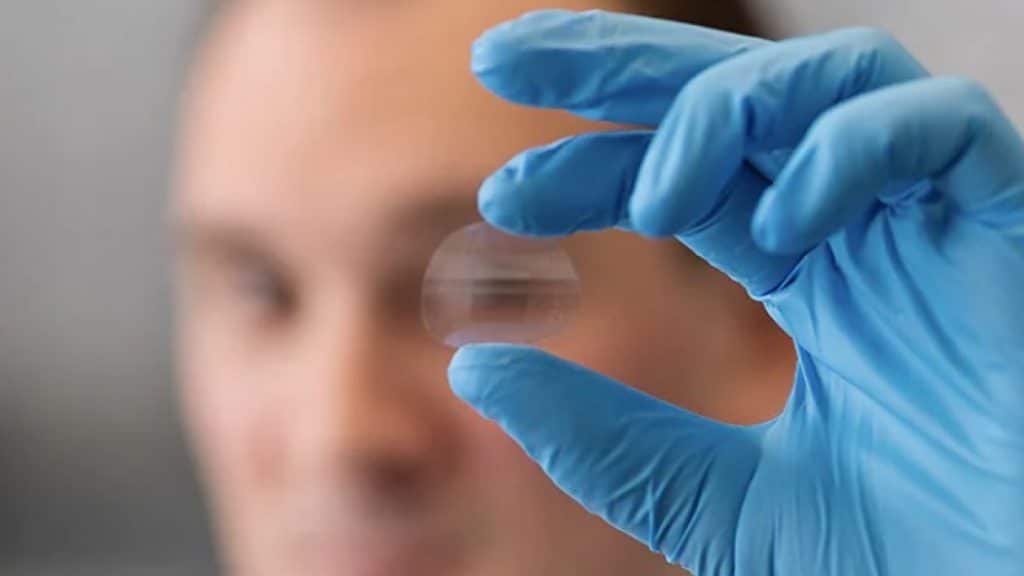 Credit: University of Sydney